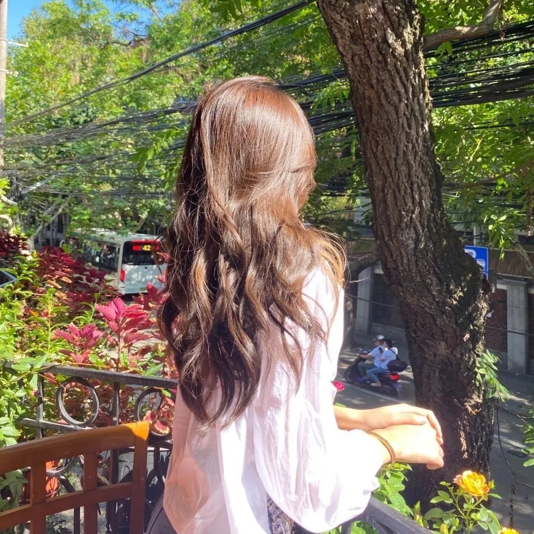 与歌同行